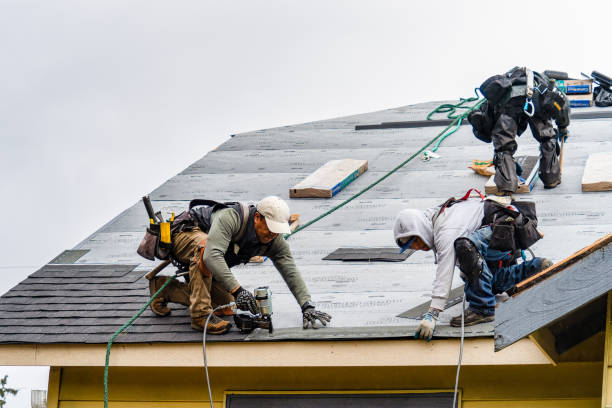 Professional Roofing technician working in Luna Pier, MI